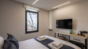 Habitació, vistes a la ciutat | Wifi gratuïta