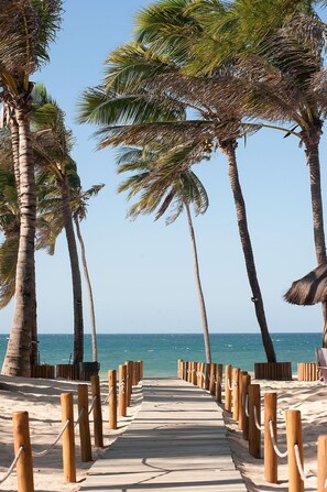 A wooden boardwalk leading to the beach, flanked by palm trees and a clear blue sky. - VG Sun #102 - Apto de Dois Quartos por Carpediem (Caucaia)