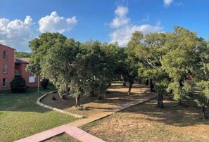 Property grounds - First floor apartment in Lecci, Corsica (Lecci)