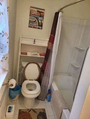 Bathroom - Cozy 2-bedroom house with a view in enjoyable Pittsburgh (Pittsburgh)