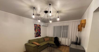 Cozy, modern apartment located near the County Hospital