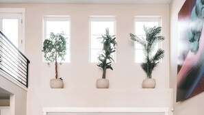 Un salon spacieux avec un canapé d’angle, une table basse et des plantes en pot sur le rebord de la fenêtre.