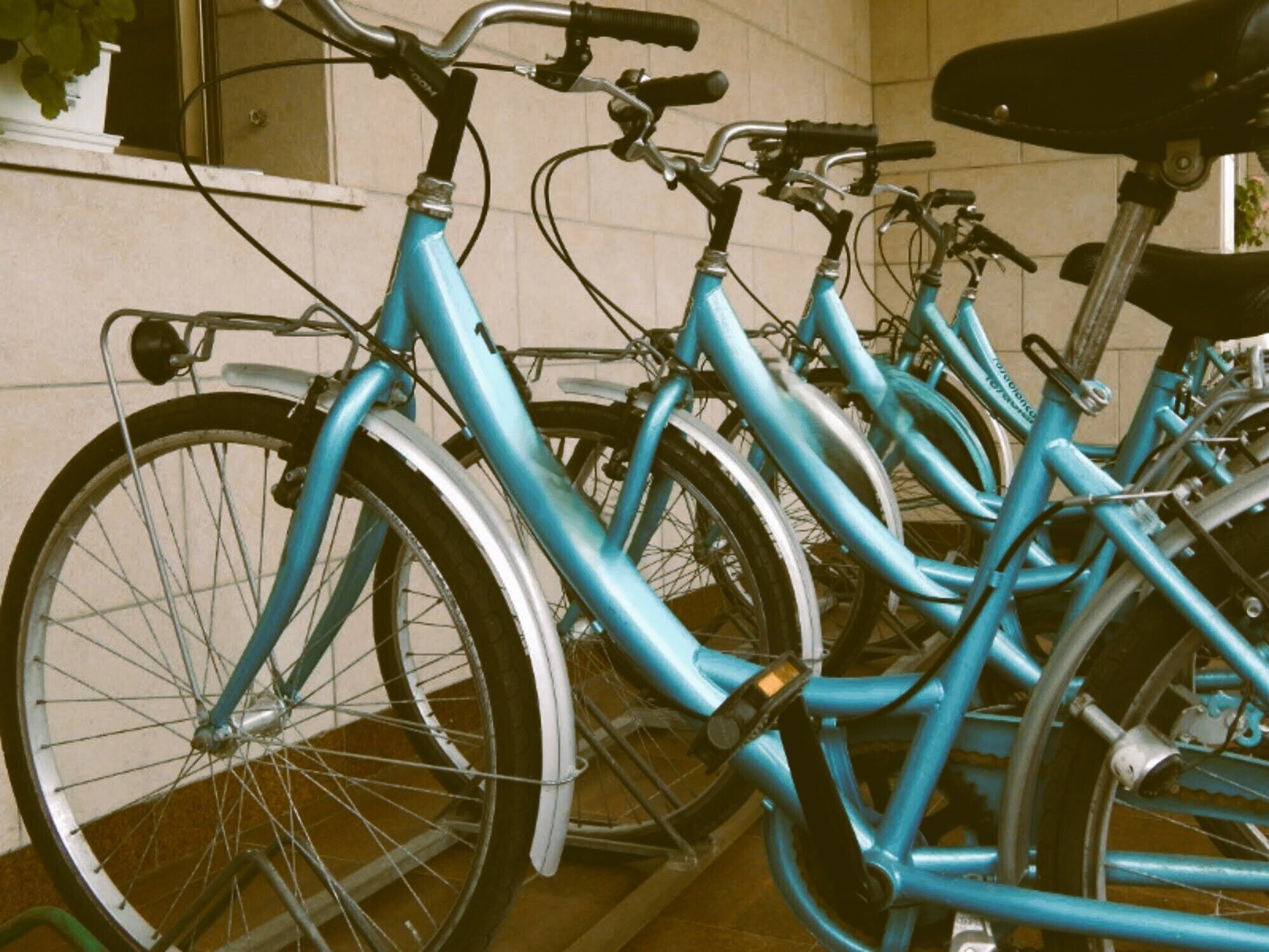 Una fila di biciclette turchesi parcheggiate in un'area coperta con pavimento piastrellato.