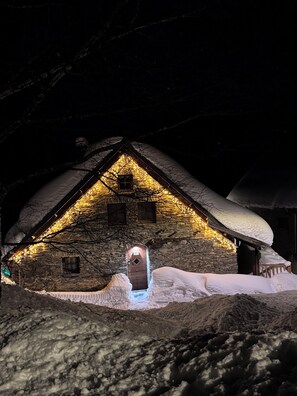 Exterior - Chalet Les Racines (Villard-Reculas)
