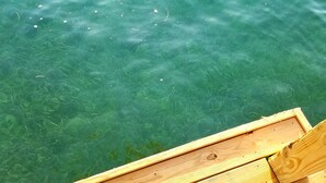 Un muelle de madera que se adentra en aguas verdes y transparentes.