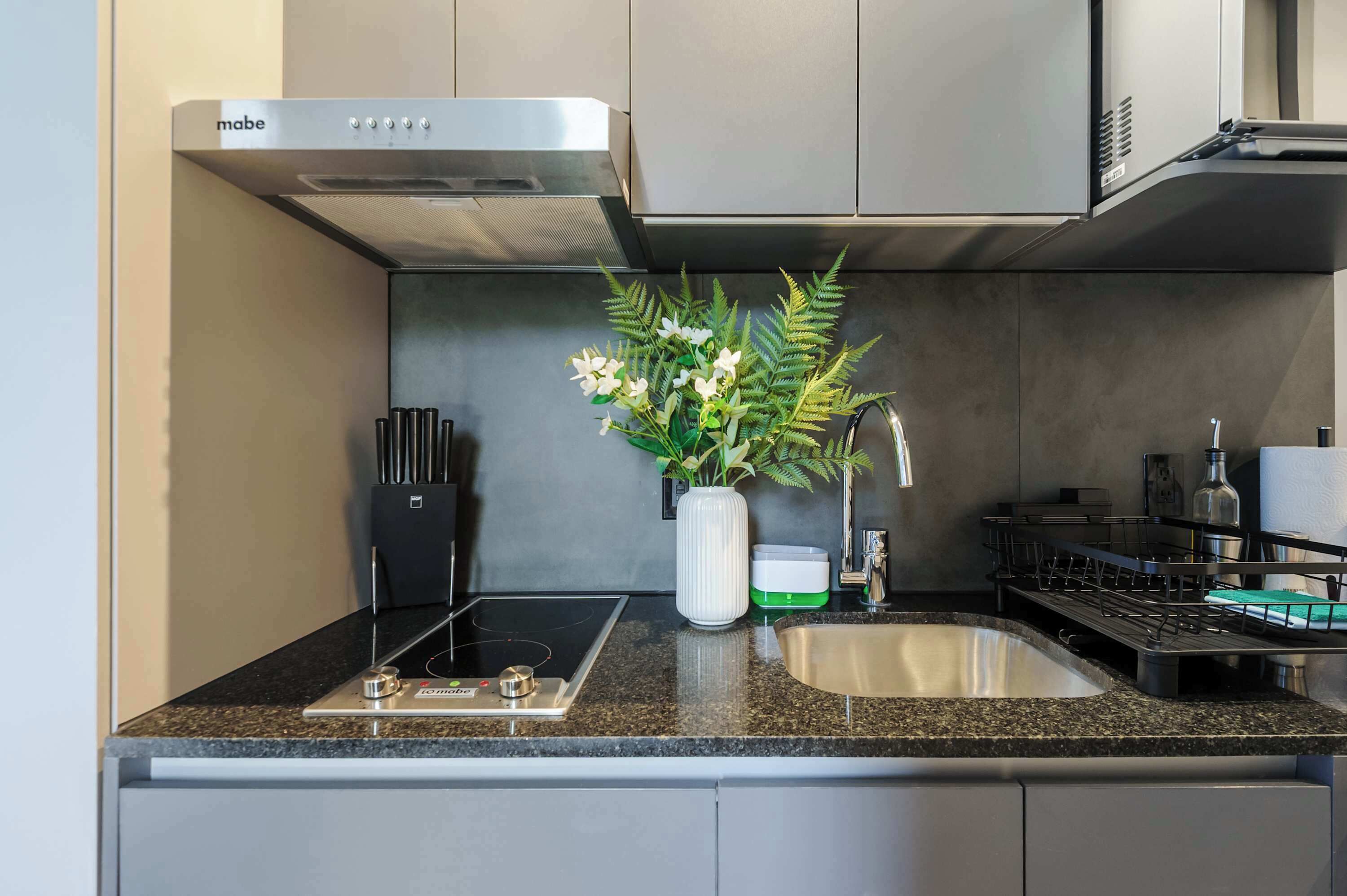 Una cucina moderna con piano cottura integrato, cappa aspirante in acciaio inossidabile, lavello e una pianta decorativa.