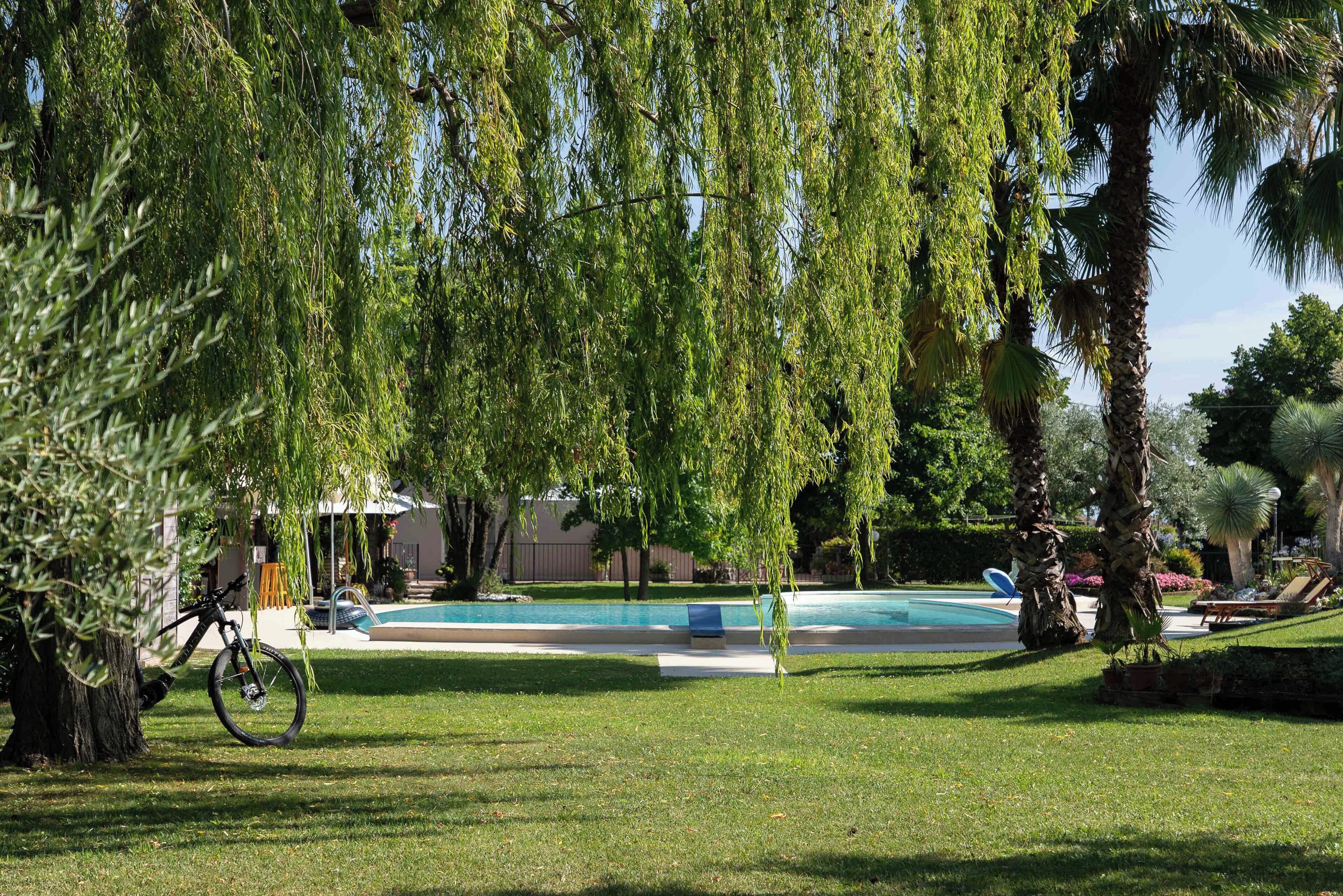 Piscina rodeada por vegetação exuberante, uma bicicleta encostada a uma árvore, e um céu azul límpido.