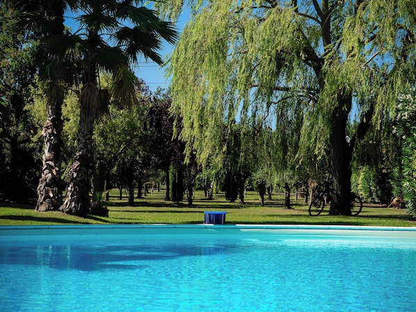 A swimming pool surrounded by trees and a grassy area.
