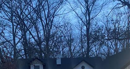 Spacious 4-bedroom 3 bath house in fabulous Hallsville