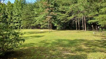 A grassy field with trees and a fence.