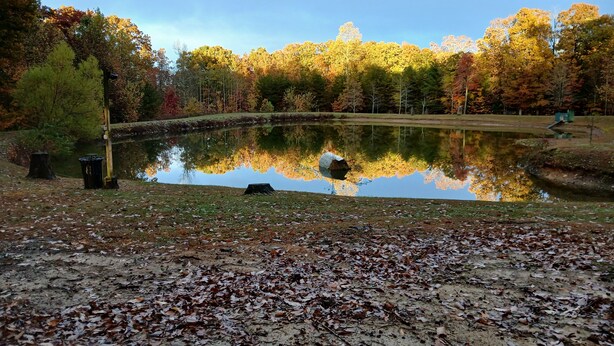 Una escena serena junto al lago con follaje otoñal, cielo despejado y una superficie acuática tranquila que refleja los árboles.