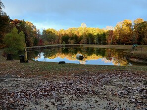 Escena serena junto a un lago, con follaje otoñal, cielo despejado y superficie acuática tranquila que refleja los árboles.