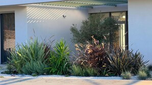 Een modern gebouw met een glazen dak, een tuin met diverse planten en een grindpad.