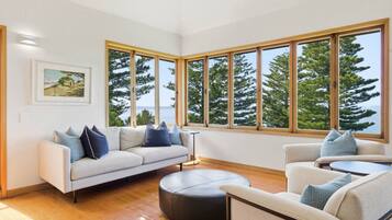 TV, fireplace, books, offices