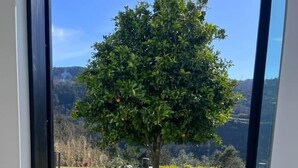 On aperçoit, à travers une porte vitrée, un jardin avec un arbre, une pelouse et, au loin, une montagne.