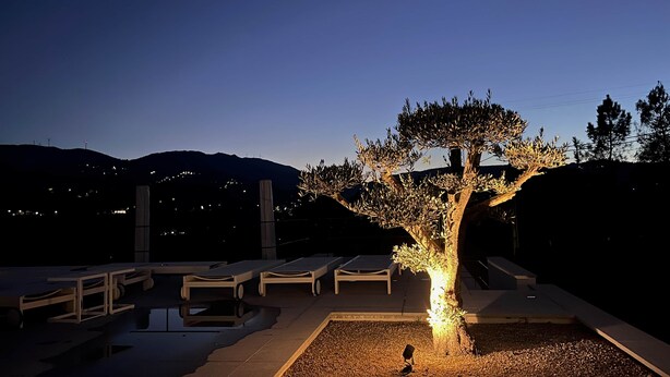 Un espace extérieur aménagé pour la nuit, avec un arbre illuminé par des jeux de lumière, des fauteuils confortables et un bassin dont la surface réfléchit la lumière.