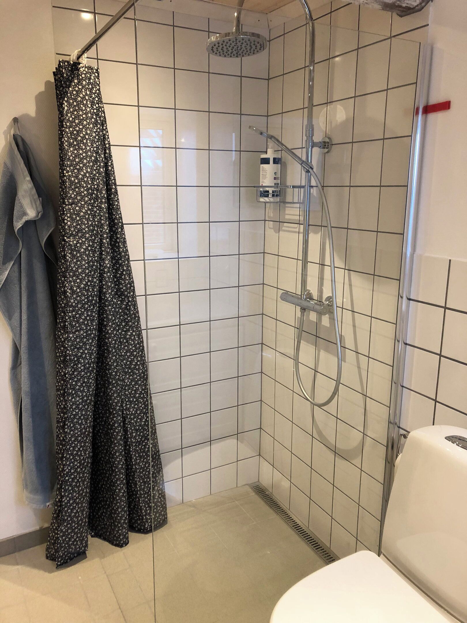 Een douche met een handdouche, een handdoekhouder met een handdoek, en een toilet.