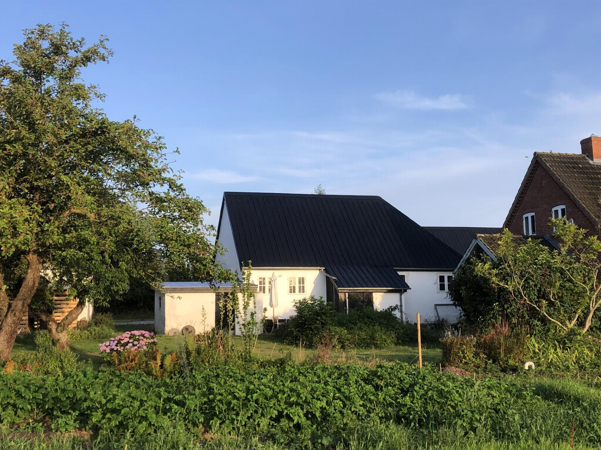 Un quartier résidentiel avec des maisons, un jardin et un ciel dégagé.