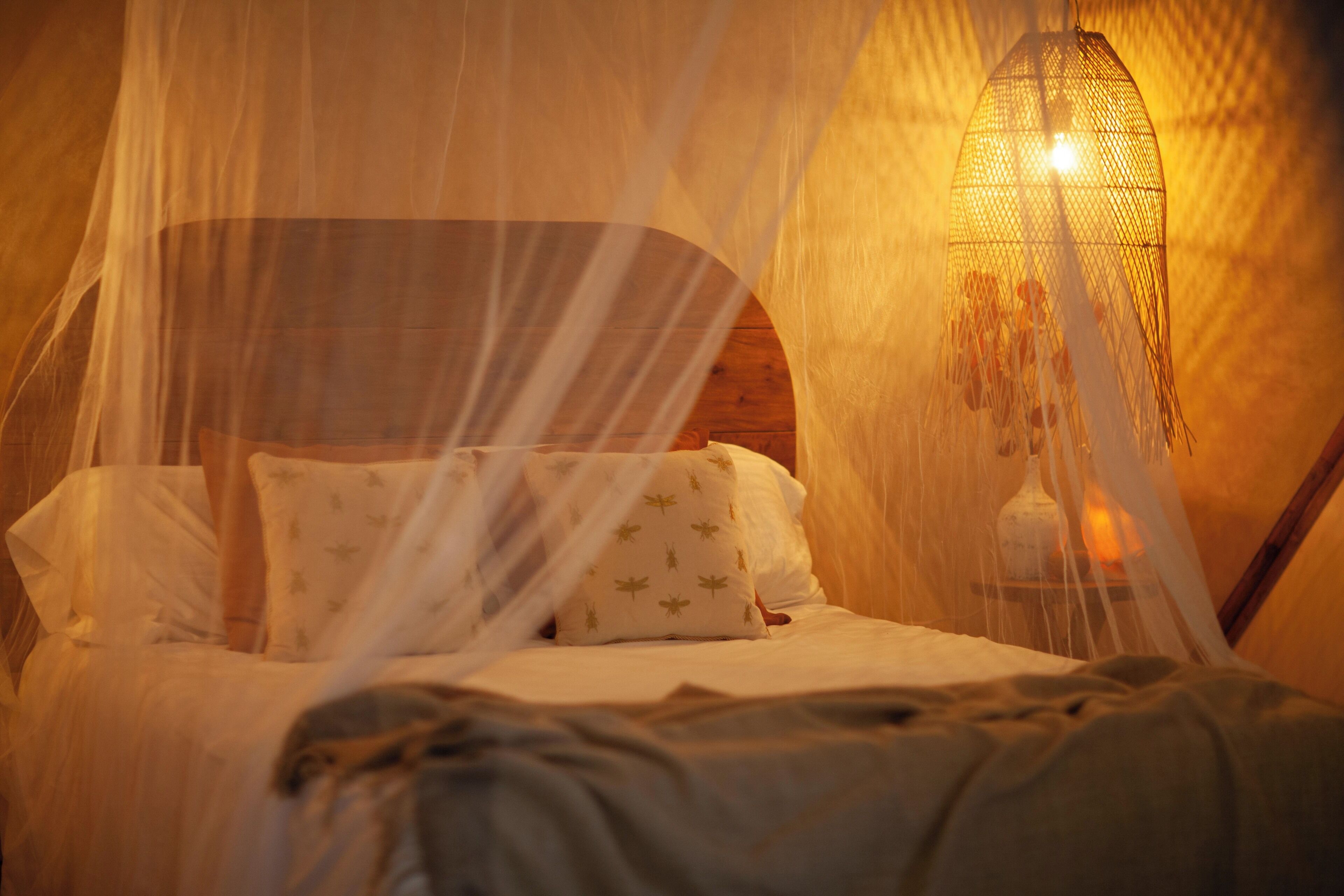 A bed with a canopy, pillows, and a bedside table with a lamp.