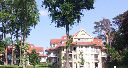 Ferienwohnungen Villa Seeblick, 4 Pers., ab 61m², Balkon oder Terrasse, direkt am Scharmützelsee