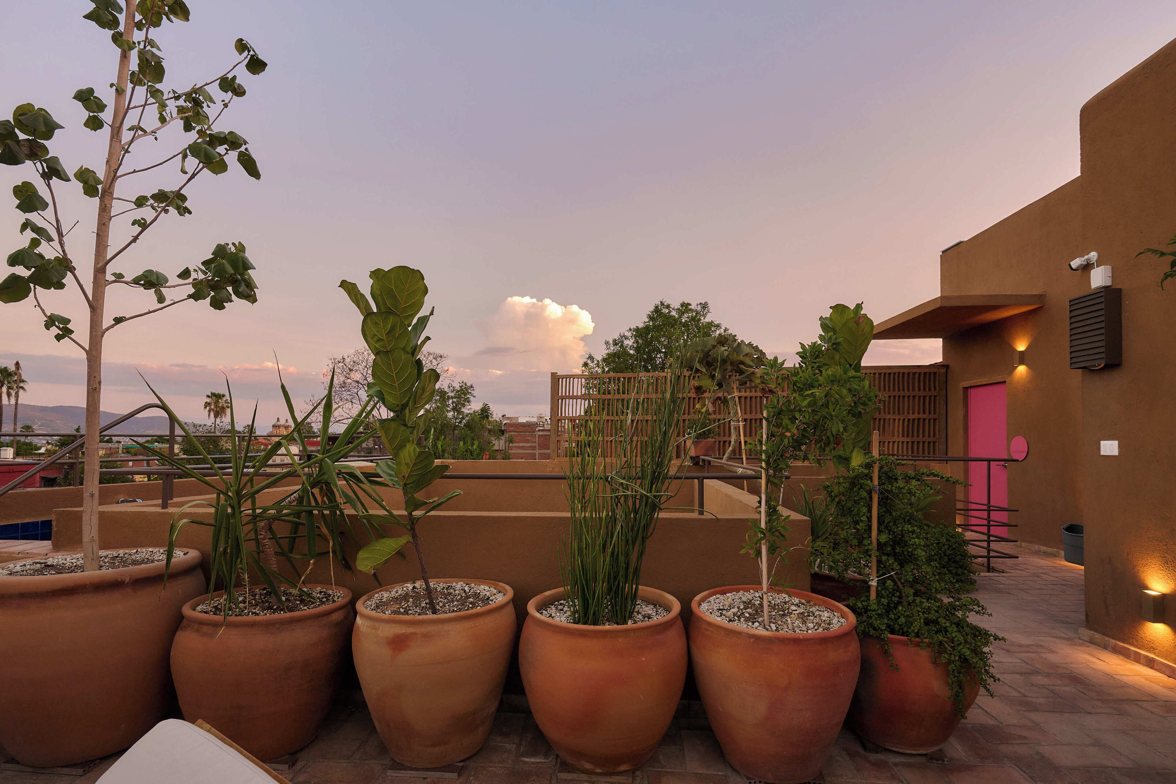 A rooftop terrace with potted plants, a wooden fence, and a building with a pink door.