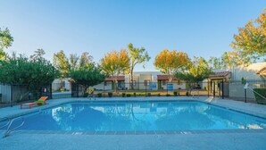 Una piscina con un borde de baldosas, rodeada por una valla y árboles.