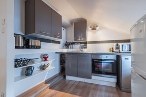 Fridge, microwave, oven, dishwasher - Le Bain Finkwiller - Parking inclus (Strasbourg)