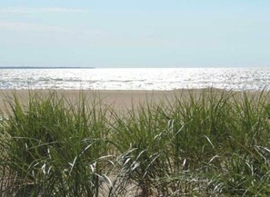 Spiaggia
