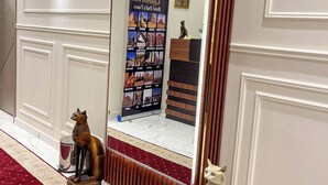 A hallway with a large mirror reflecting a poster titled "Queen's Egypt Tour," a statue of a cat, and a decorative rug. - Queen Inn Pyramids View (Giza)