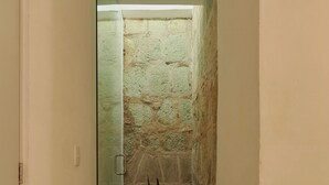 A narrow hallway with a glass door leading to a room, a potted plant, and a stone wall.