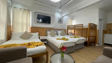 1 chambre, fer et planche à repasser, Wi-Fi, draps fournis