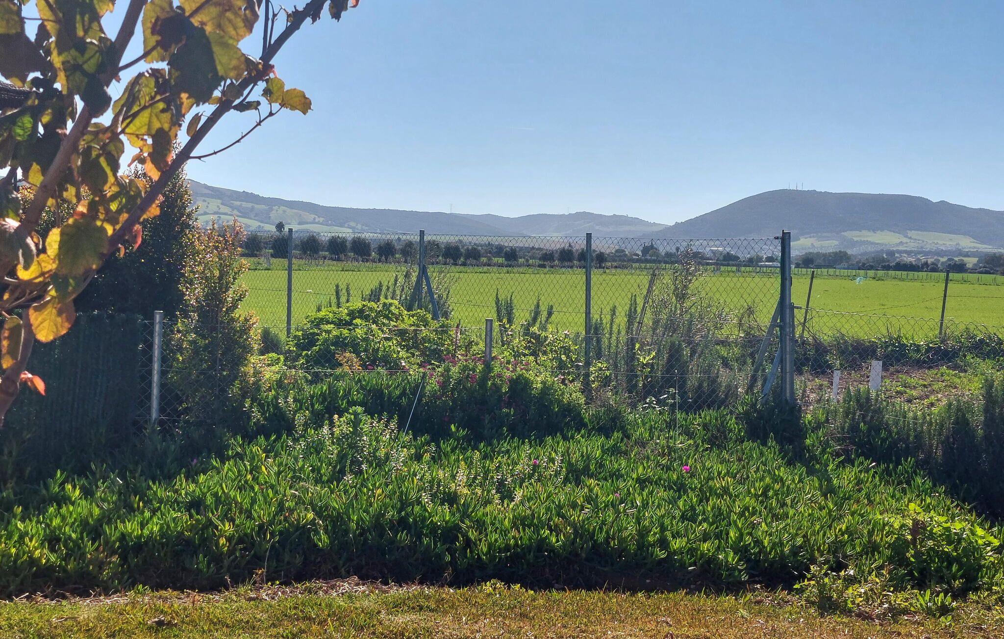 Overnatningsstedets område