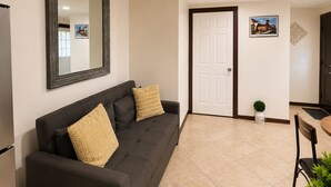 Un salon avec un canapé foncé, deux coussins, un grand miroir, une porte blanche et une petite plante.