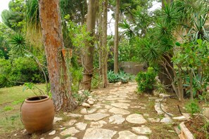 A stone pathway in a garden with various plants and a large terracotta pot. - Historic & Modern Home with Garden (Tiberias)
