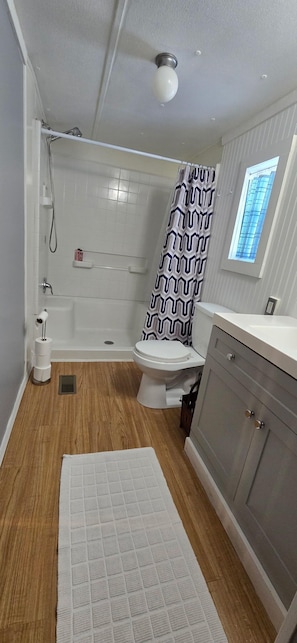 Shower, hair dryer, towels, soap - Spacious 4-bedroom house near trails and golf (Gaylord)
