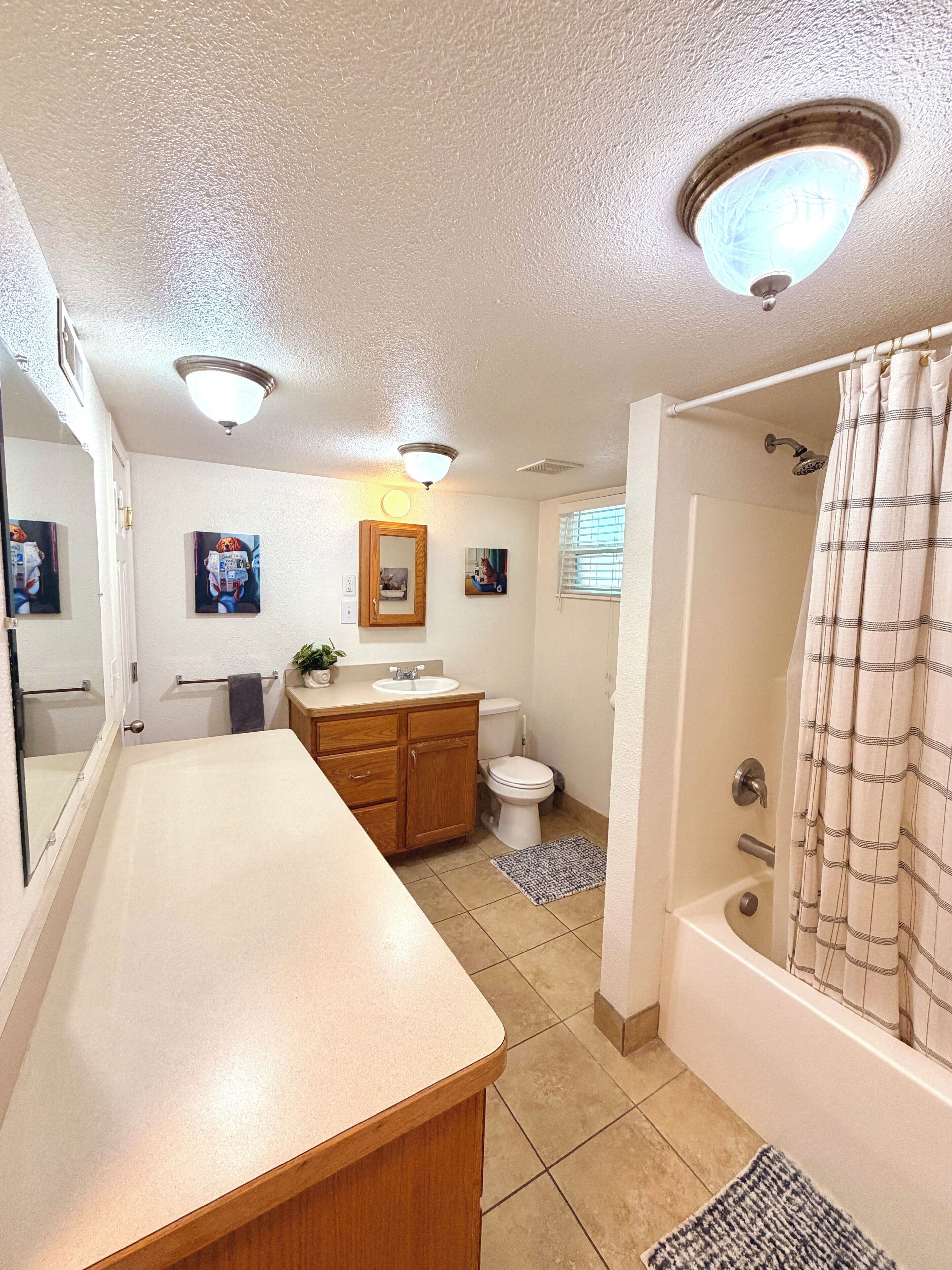 Hair dryer, towels, soap, toilet paper