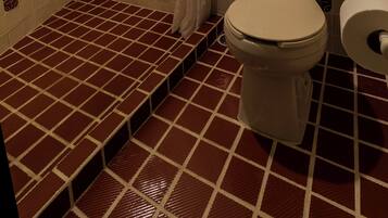 Douche, serviettes fournies, savon, shampoing