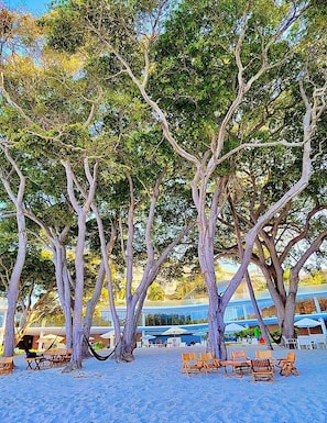 A beach with trees, lounge chairs, and a building in the background. - EXCLUSIVE APARTMENT IN PUNTA DE MITA (Corral del Risco)