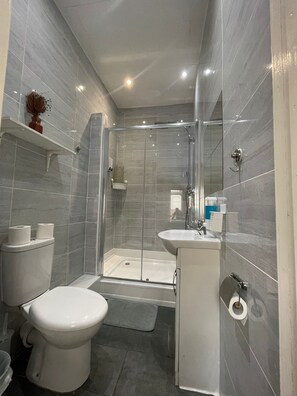 Shower, hair dryer, bidet, towels