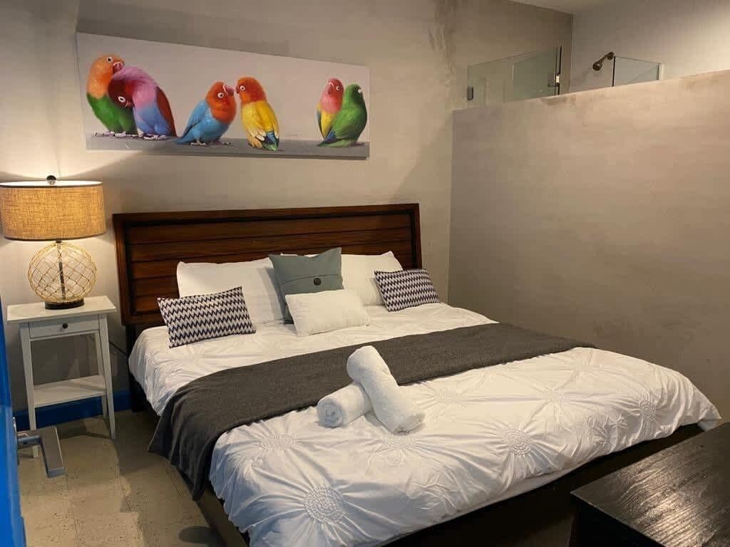 Een net opgemaakt bed met een witte deken en twee kussens, een bedlampje en een wanddecoratie van kleurrijke vogels.