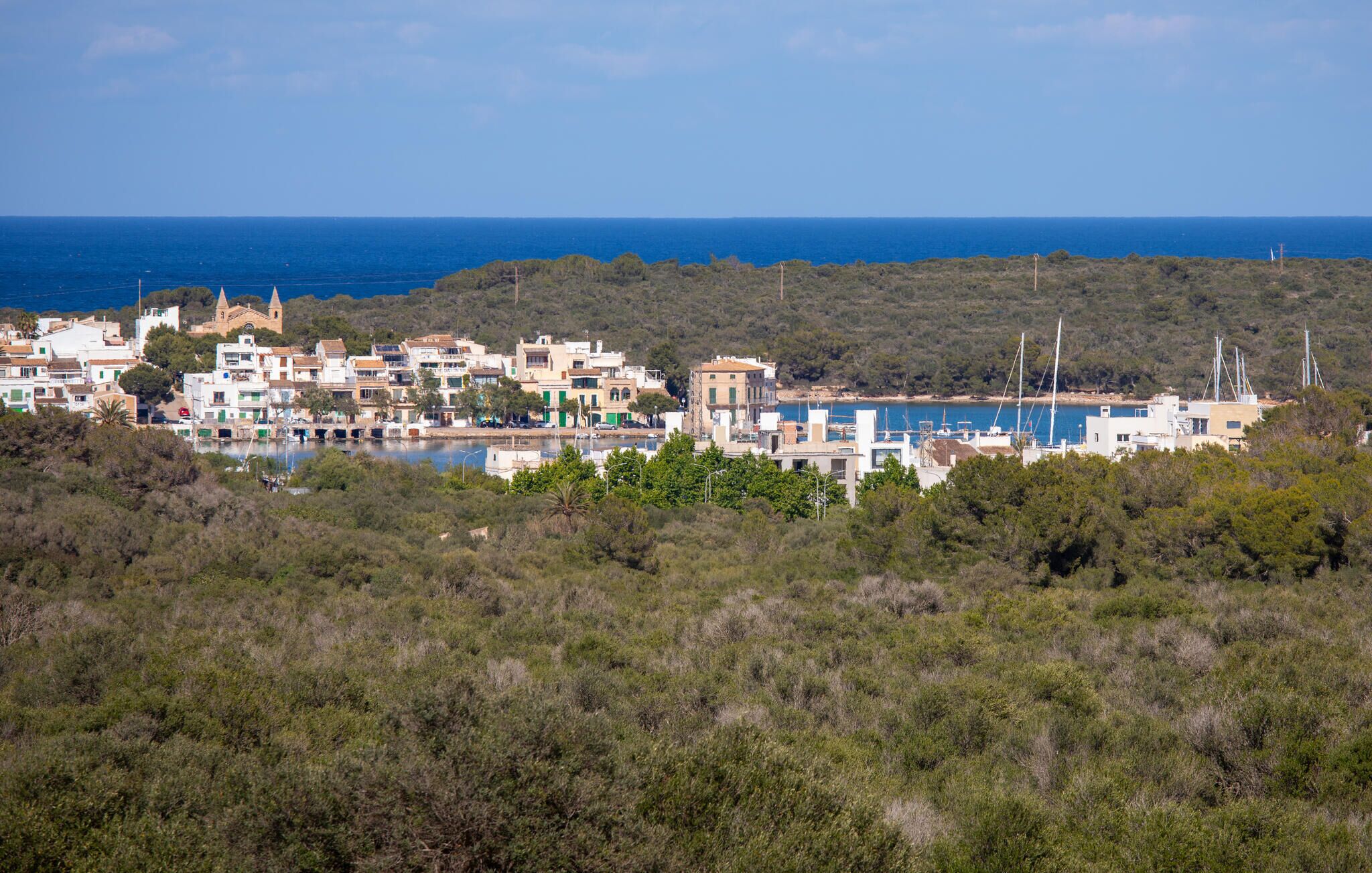 A coastal town with buildings near the sea, a church, and a marina.