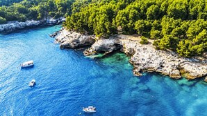 A coastal area with clear blue water, rocky shores, and dense green trees. - Ein Apartment im Ferienhaus Zweirosen by Interhome (Fažana)