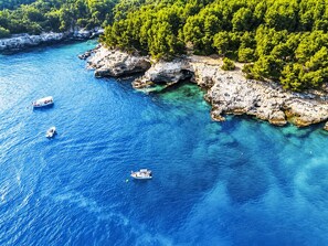 A coastal area with clear blue water, rocky shores, and dense green trees. - Ein Apartment im Ferienhaus Zweirosen by Interhome (Fažana)