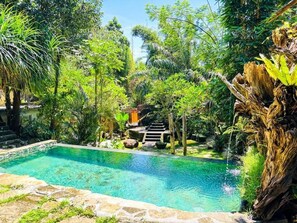 Pool - Living Ubud (Gianyar)