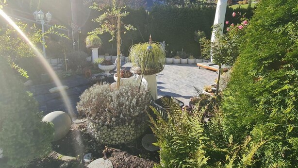 En have med forskellige planter og en sti af sten.