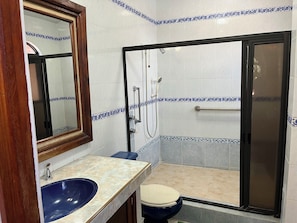 A bathroom with a blue sink, a toilet, a shower with a glass door, and a mirror with a wooden frame.