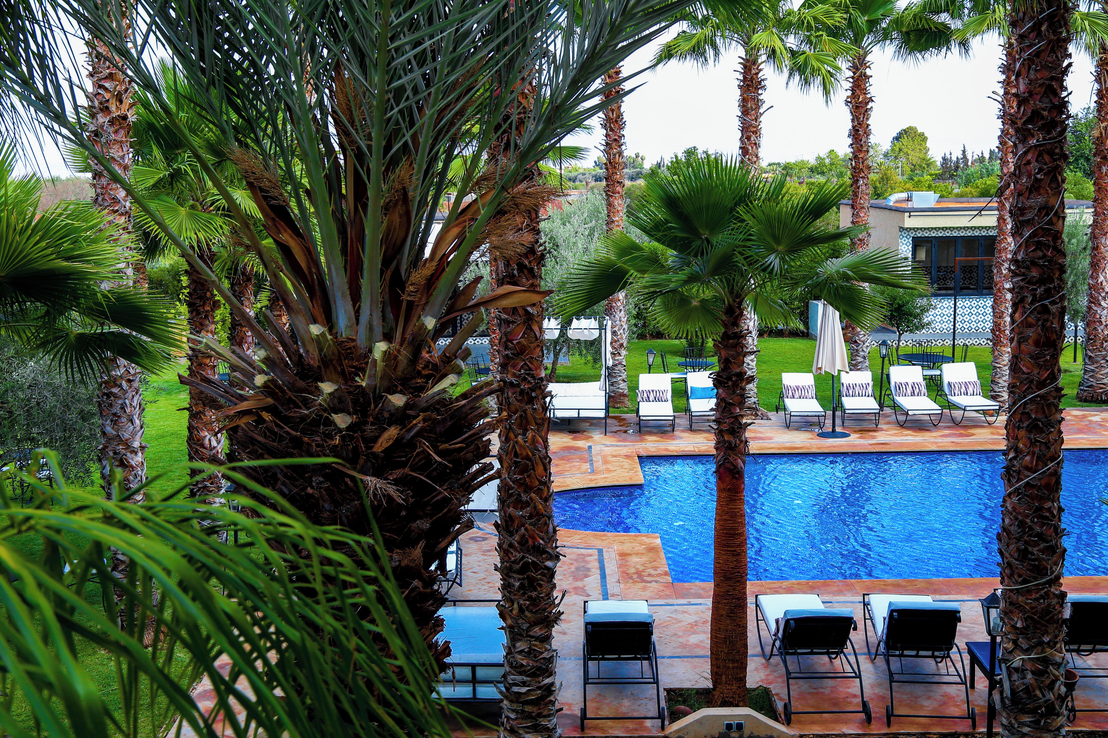 A pool area with lounge chairs and palm trees.