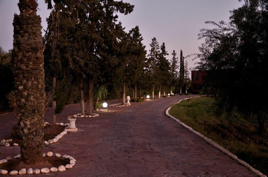 A paved pathway lined with trees and illuminated by spherical lights.