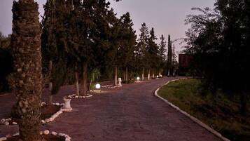 A paved pathway lined with trees and illuminated by spherical lights.