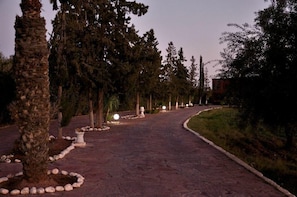 A paved pathway lined with trees and illuminated by spherical lights. - Weedan Ferme D'hôtes (Marrakech)